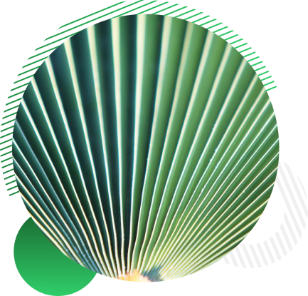 https://pontes.cn/wp-content/uploads/2022/02/02-2.png