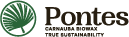Pontes