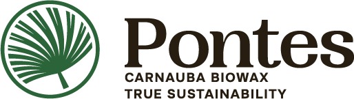 Pontes